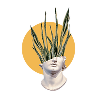 Classical marble bust with snake plant leaves growing from its head
