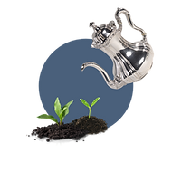 Collage of a silver teapot watering young seedlings in soil